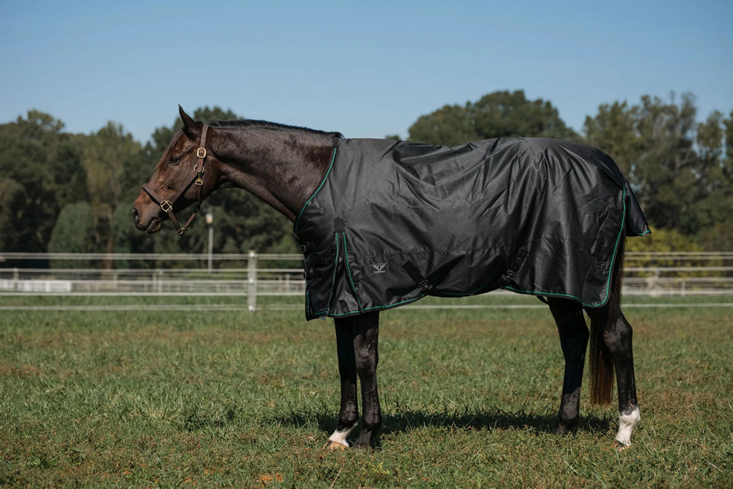 TuffRider 600D RipStop Waterproof/Breathable Comfy Winter Turnout Blanket Medium Weight 200 GSM Standard Neck - Black w Green/Black Trim -69