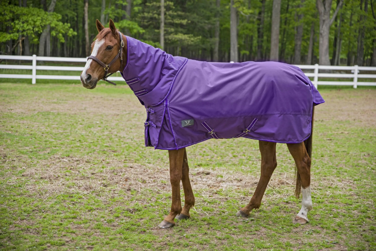 TuffRider 1680 D Super Comfy Detachable Neck Blanket - One Eyed Pony