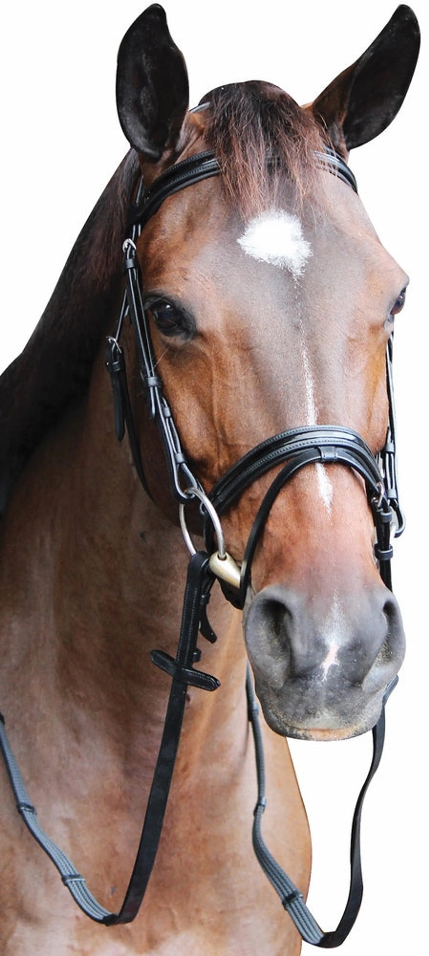Henri de Rivel Pro Piaffe Mono Crown Bridle with Flash Noseband with Patent Leather and webbed rubber reins with leather stops - One Eyed Pony