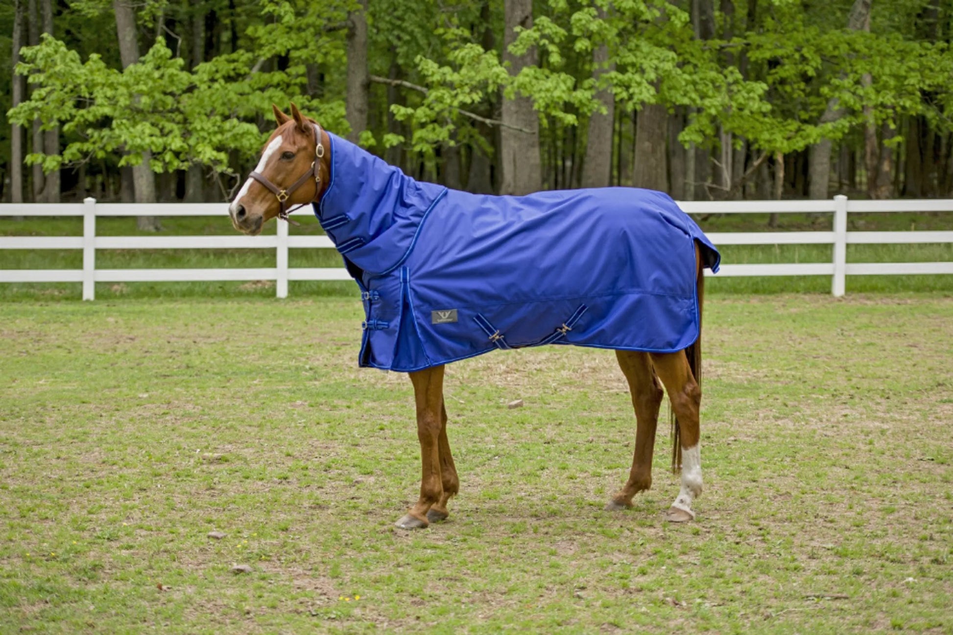 TuffRider 1680 D Super Comfy Detachable Neck Blanket - One Eyed Pony