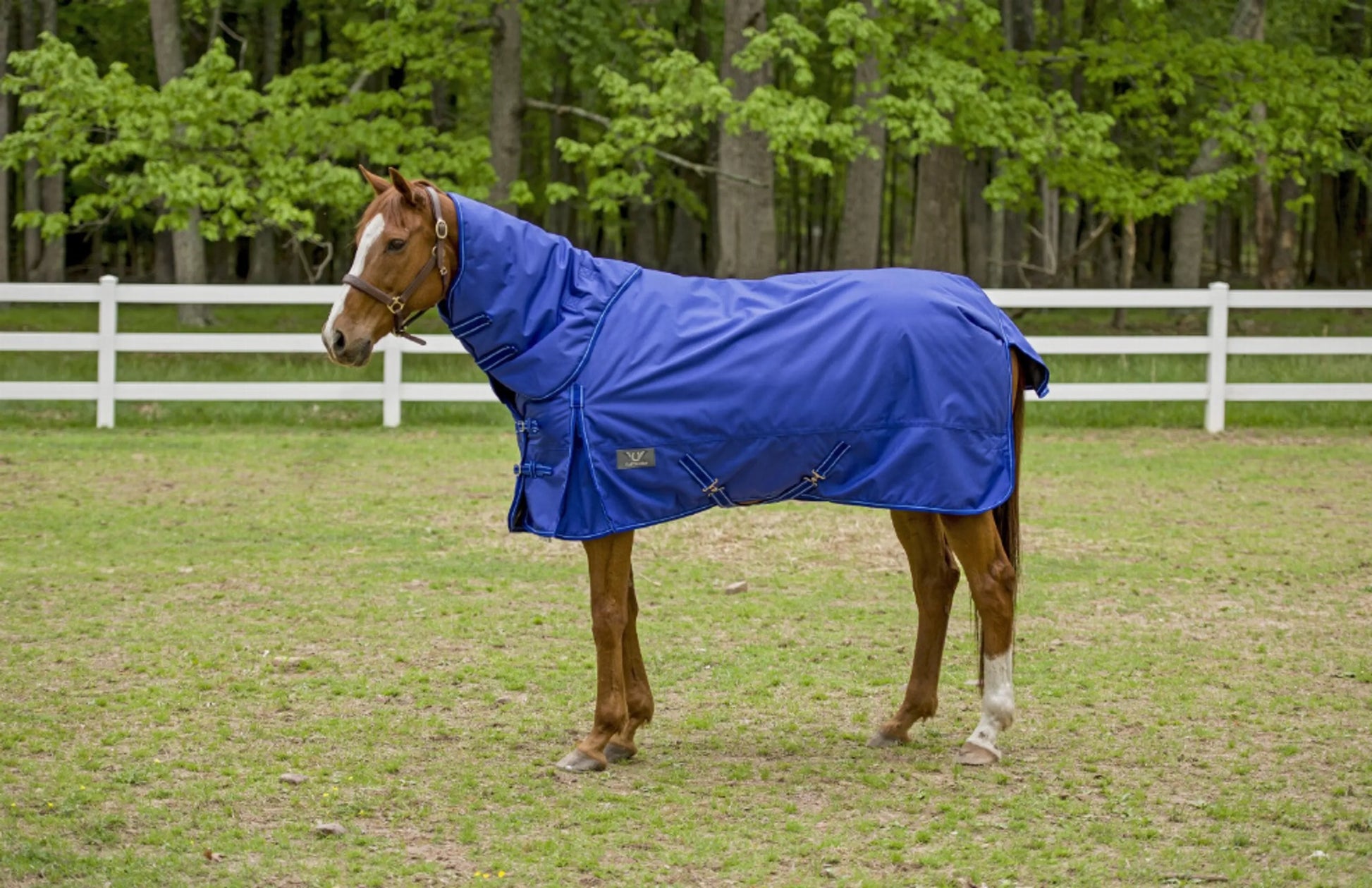 TuffRider 1680 D Super Comfy Detachable Neck Blanket - One Eyed Pony