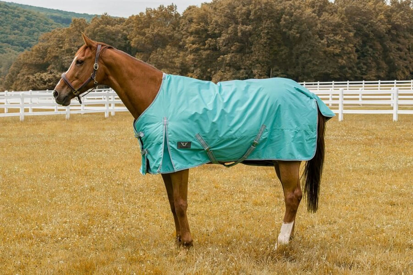 TuffRider 1200 D Comfy Winter Blanket - One Eyed Pony