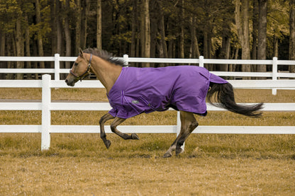 TuffRider 1200 D Comfy Winter Blanket - One Eyed Pony