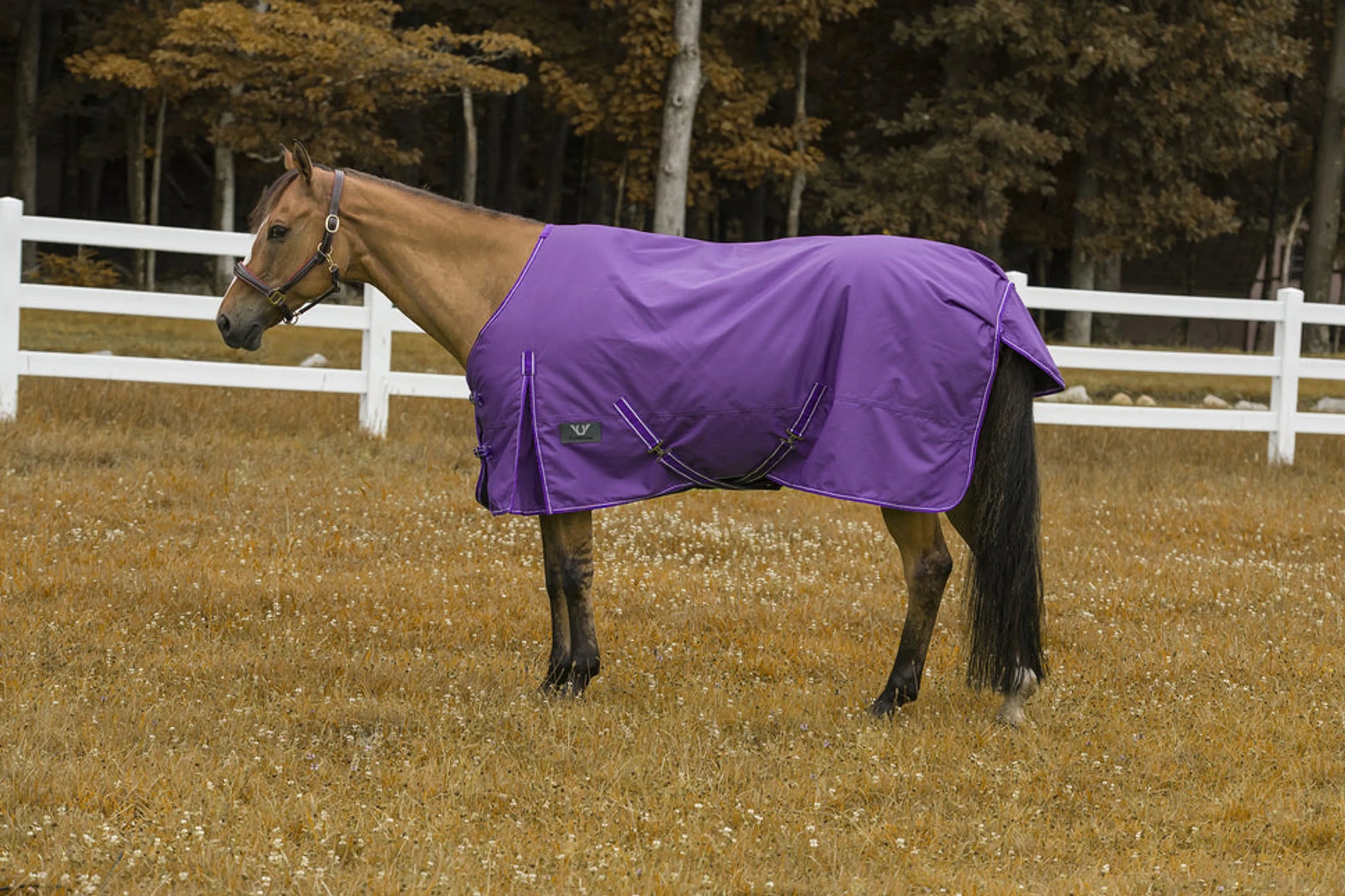TuffRider 1200 D Comfy Winter Blanket - One Eyed Pony