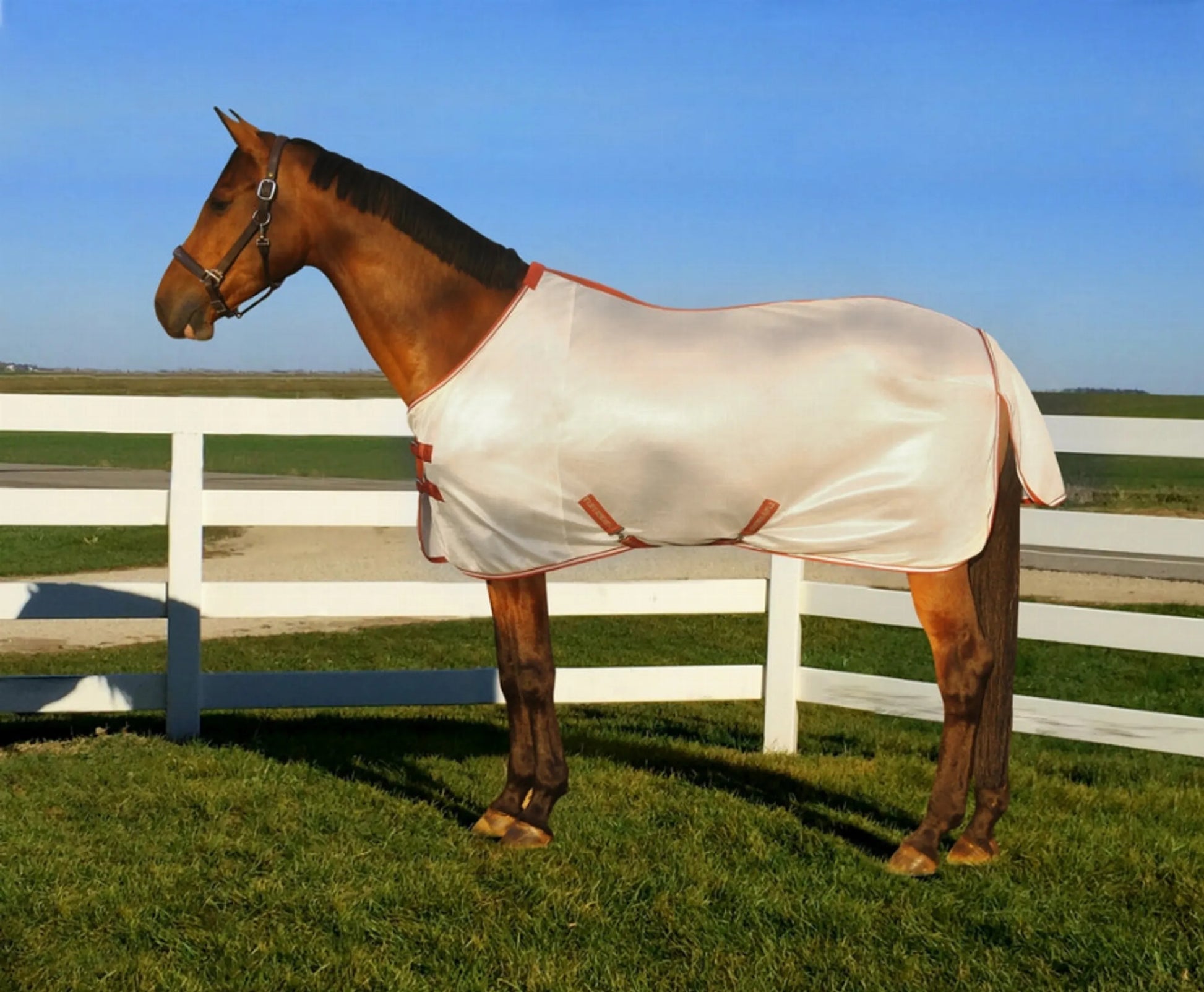 TuffRider Sport MESH Fly Sheet - One Eyed Pony