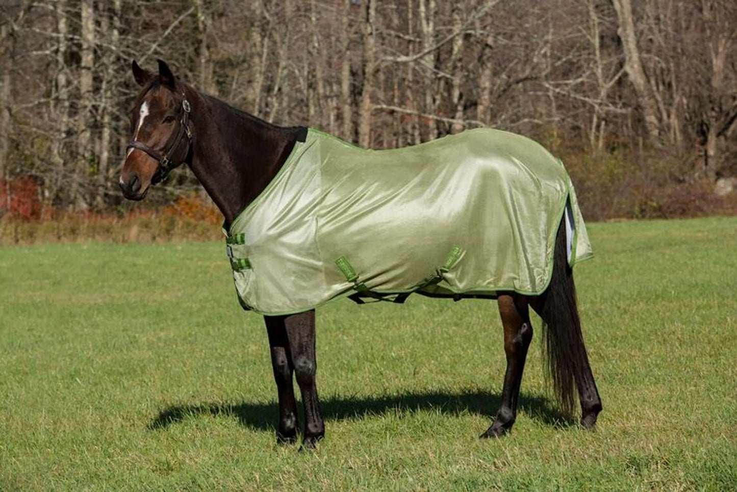 TuffRider Sport MESH Fly Sheet - One Eyed Pony