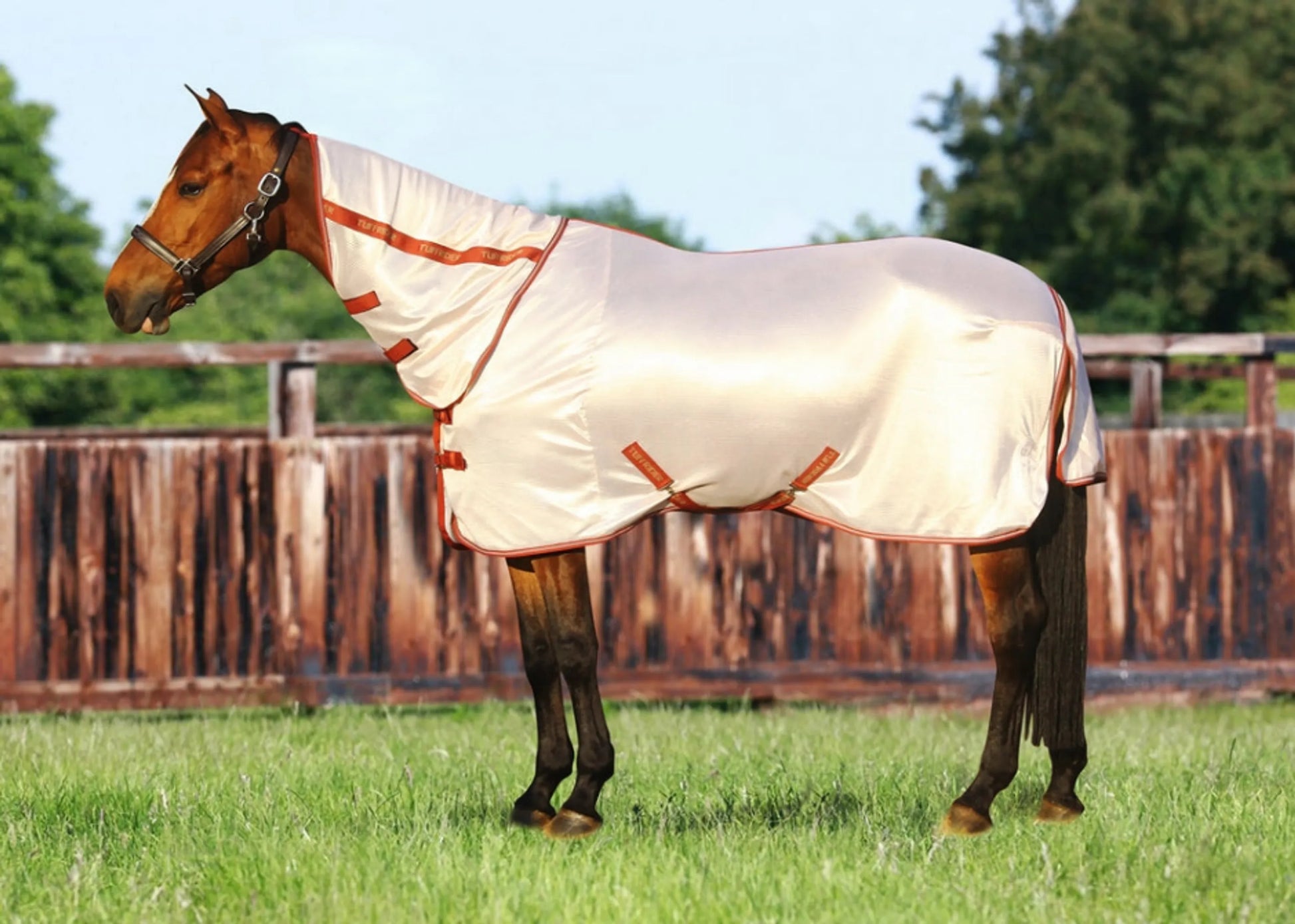 TuffRider Sport Mesh Combo-Neck Fly Sheet - One Eyed Pony