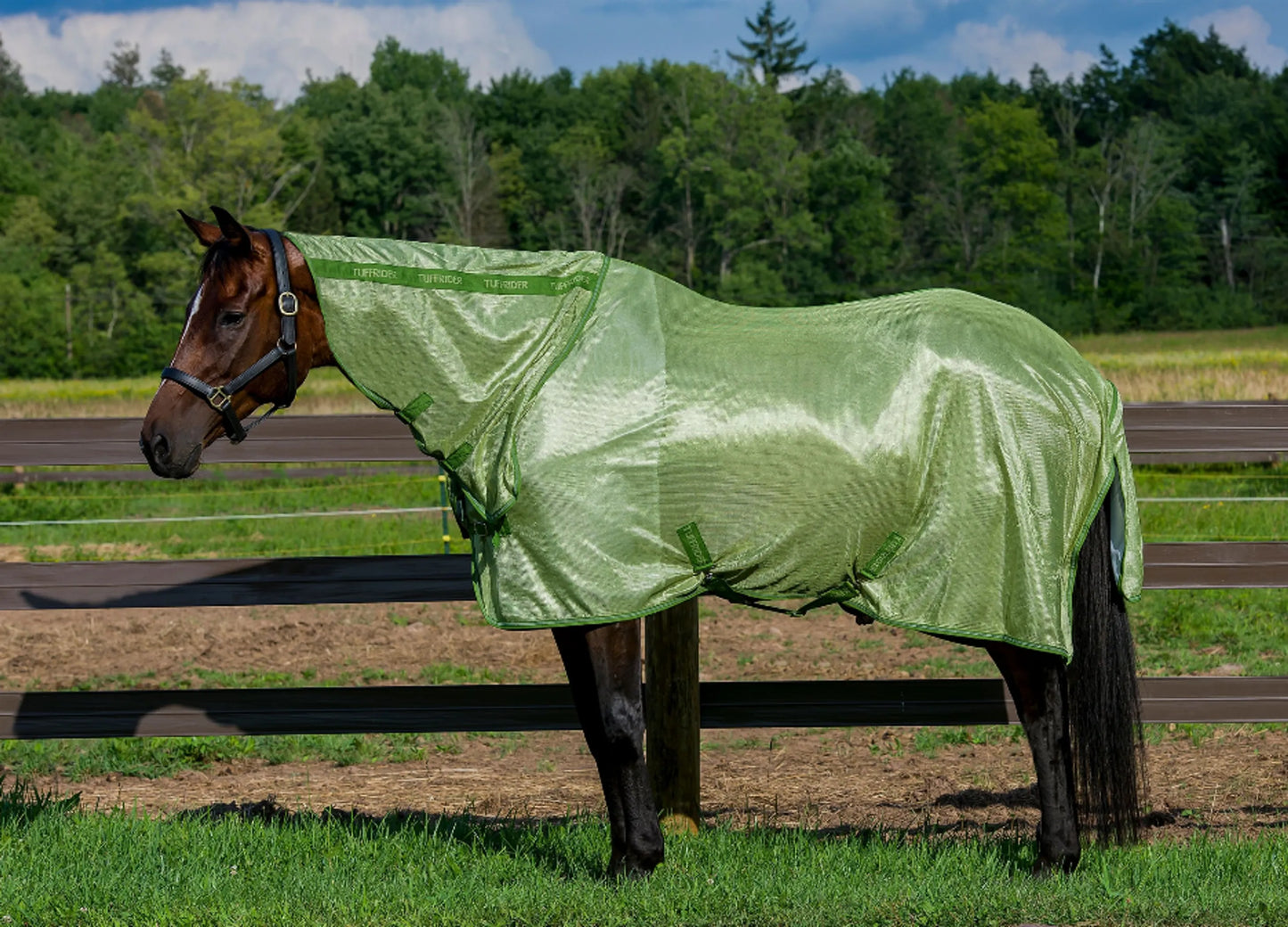 TuffRider Sport Mesh Combo-Neck Fly Sheet - One Eyed Pony