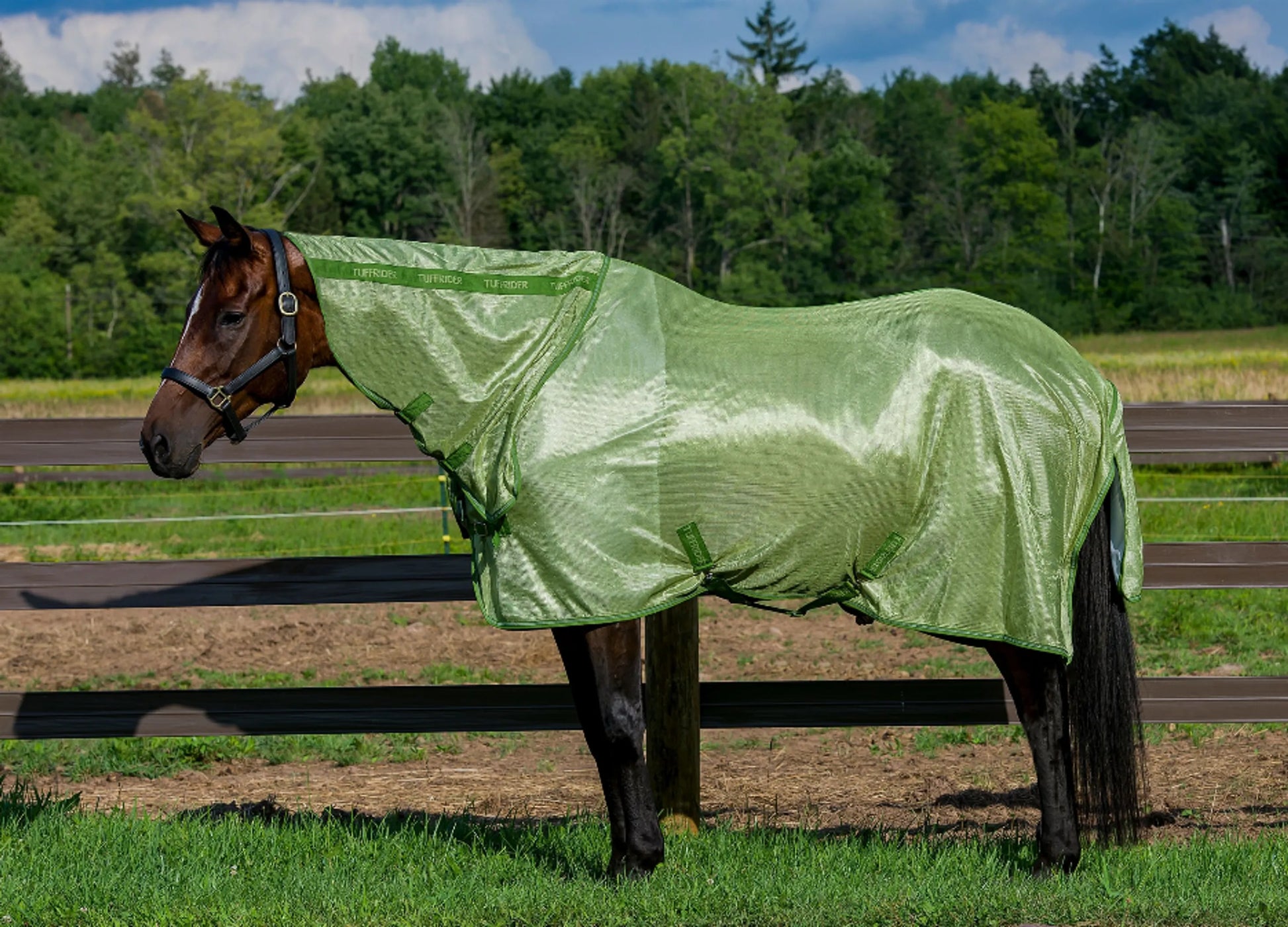 TuffRider Sport Mesh Combo-Neck Fly Sheet - One Eyed Pony