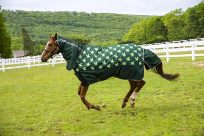 Tuffrider 1200D Ripstop 220 Gms Polyfill Horse Print Combo Neck Two Tone Horse Turnout Blanket