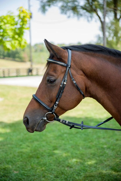 Henri de Rivel Clincher Bridle - One Eyed Pony