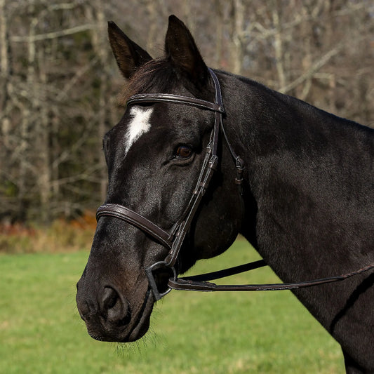 Henri de Rivel Pro Mono Crown Bridle with Padded Wide Noseband  with Laced Reins - One Eyed Pony