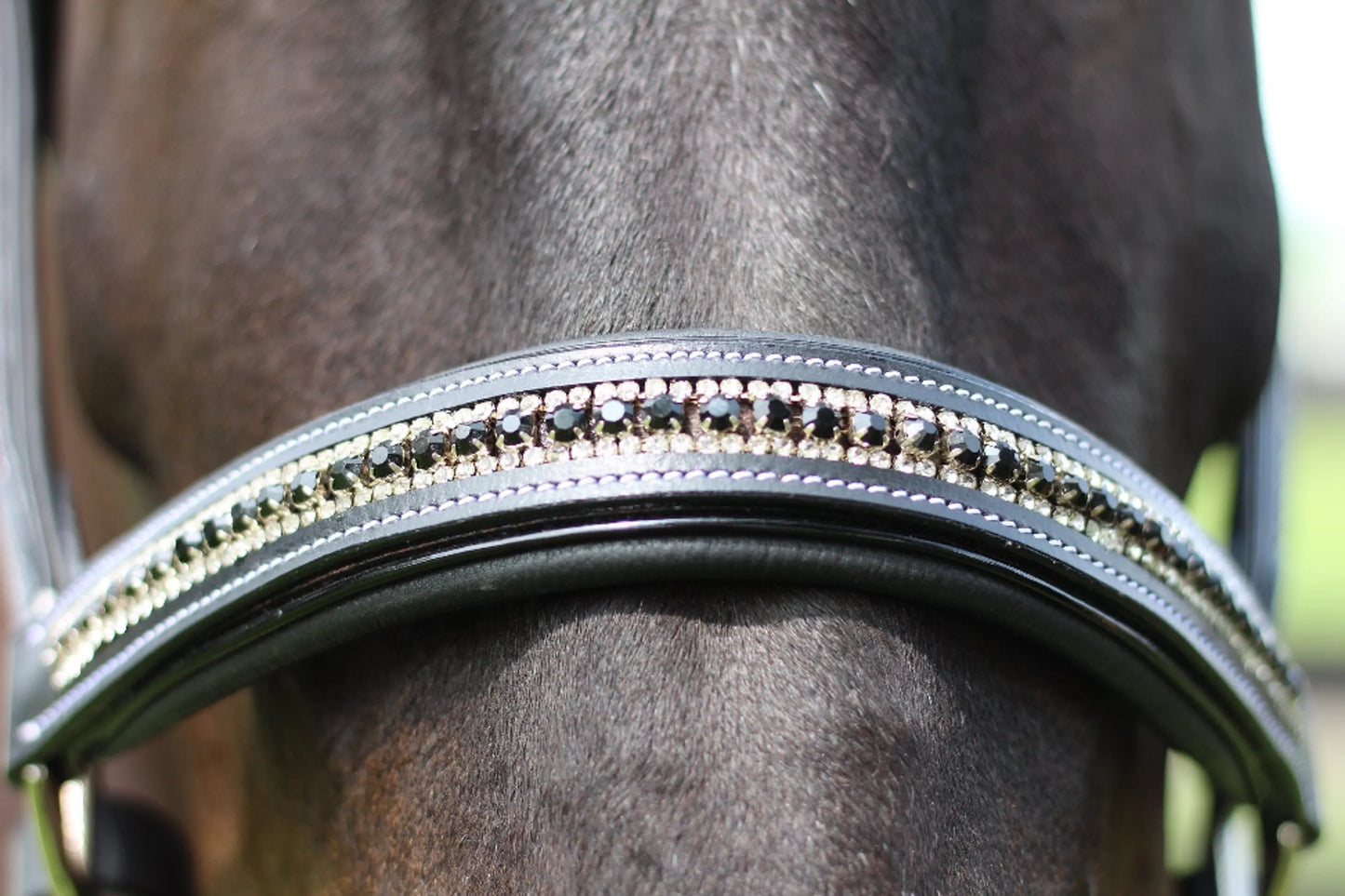 Henri de Rivel Padded Jewel Halter - One Eyed Pony