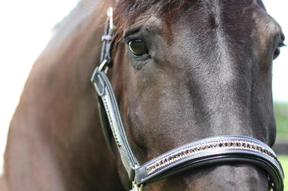 Henri de Rivel Padded Jewel Halter - One Eyed Pony