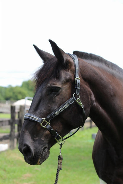 Henri de Rivel Padded Jewel Halter - One Eyed Pony