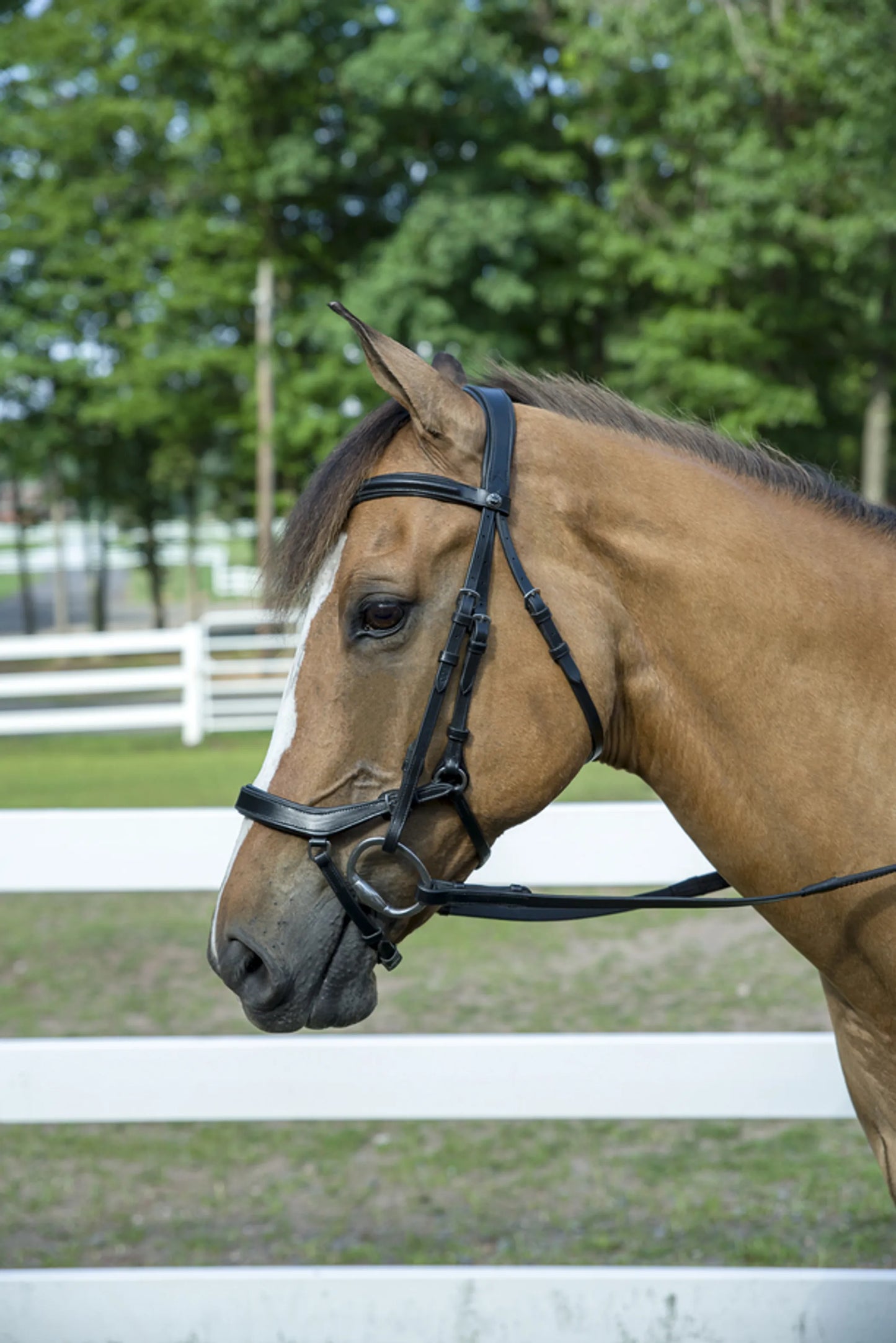 Henri de Rivel Pro Anatomical Bridle - One Eyed Pony
