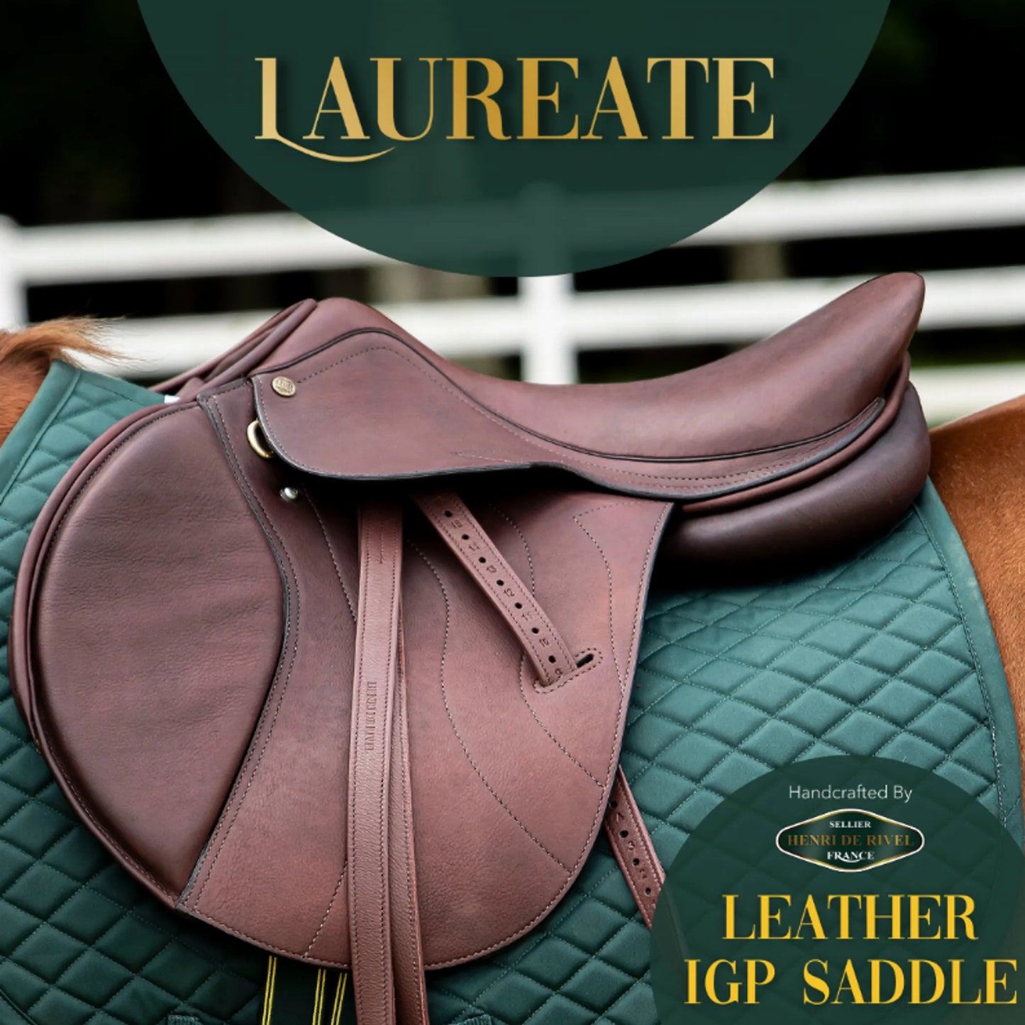 Henri De Rivel Laureate Leather IGP Saddle - One Eyed Pony