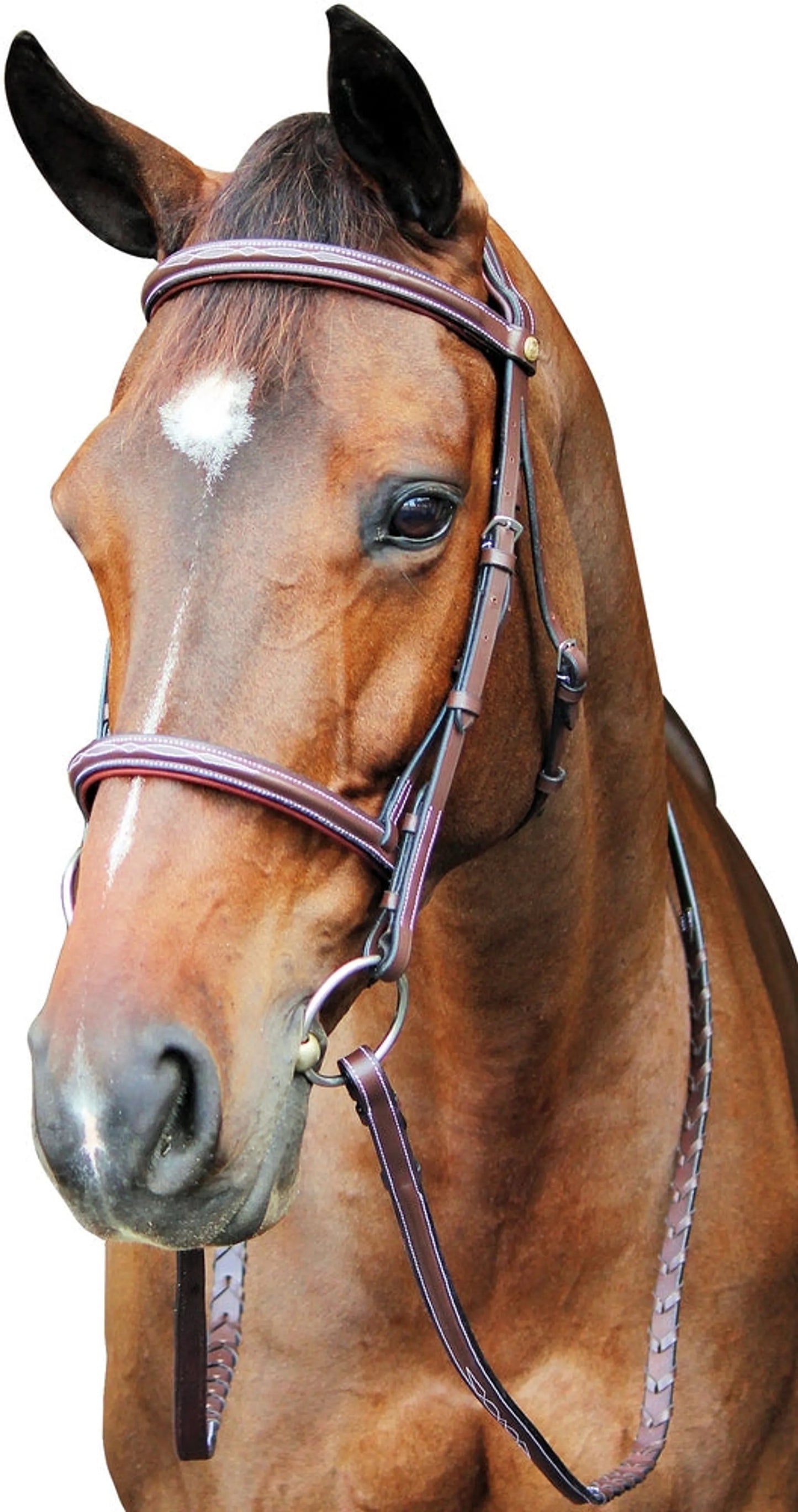 Henri de Rivel Pro Fancy Raised Comfort Crown Padded Bridle With Fancy Raised Reins - One Eyed Pony