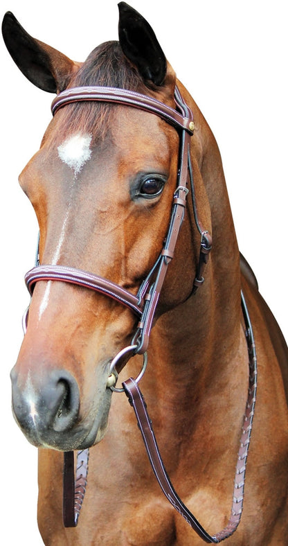 Henri de Rivel Pro Fancy Raised Comfort Crown Padded Bridle With Fancy Raised Reins - One Eyed Pony