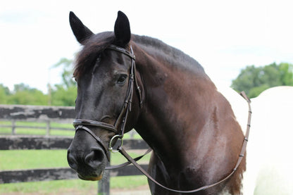 Henri de Rivel Pro Piaffe Mono Crown Bridle with Flash Noseband with Patent Leather and webbed rubber reins with leather stops - One Eyed Pony