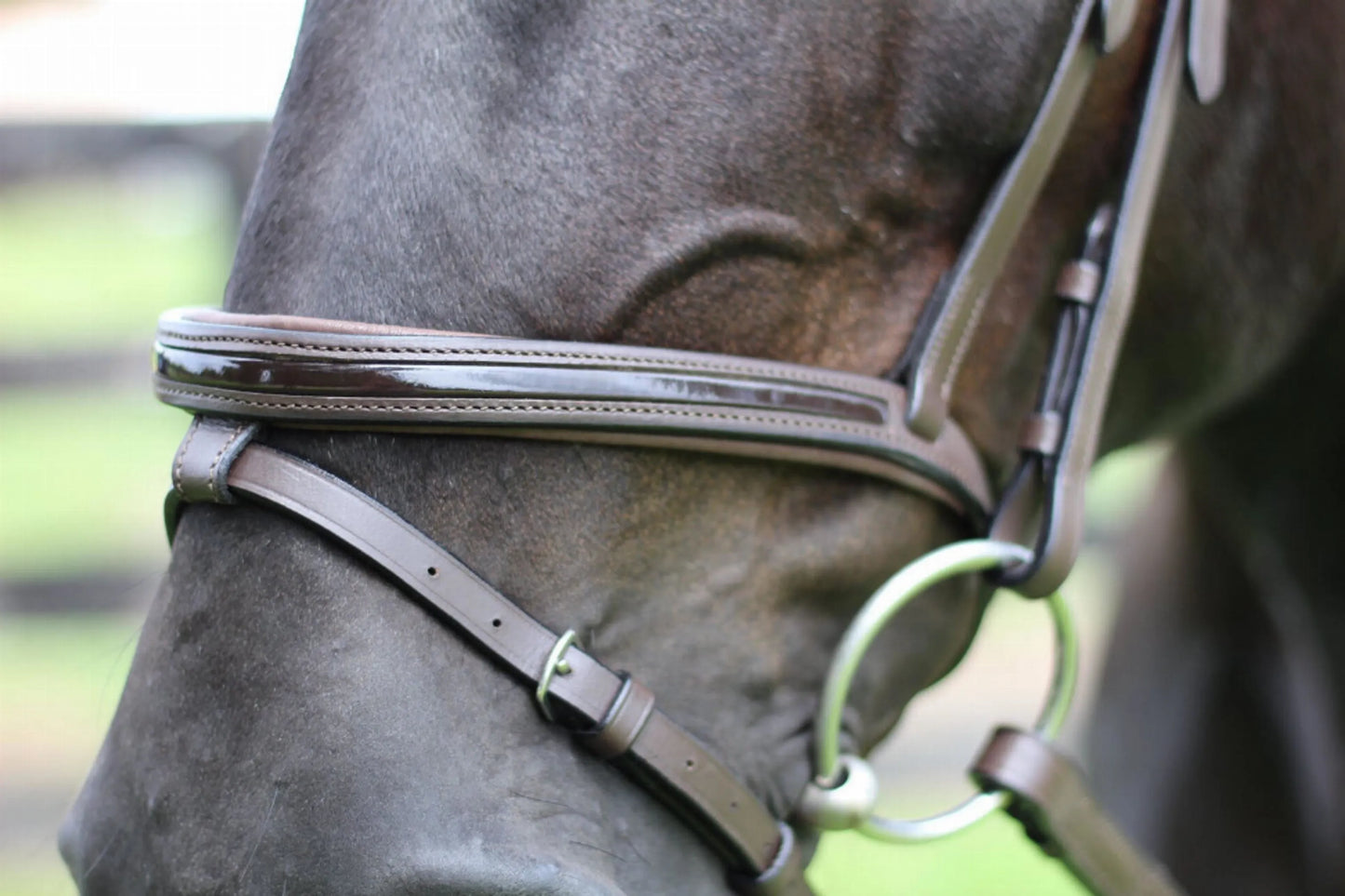 Henri de Rivel Pro Piaffe Mono Crown Bridle with Flash Noseband with Patent Leather and webbed rubber reins with leather stops - One Eyed Pony