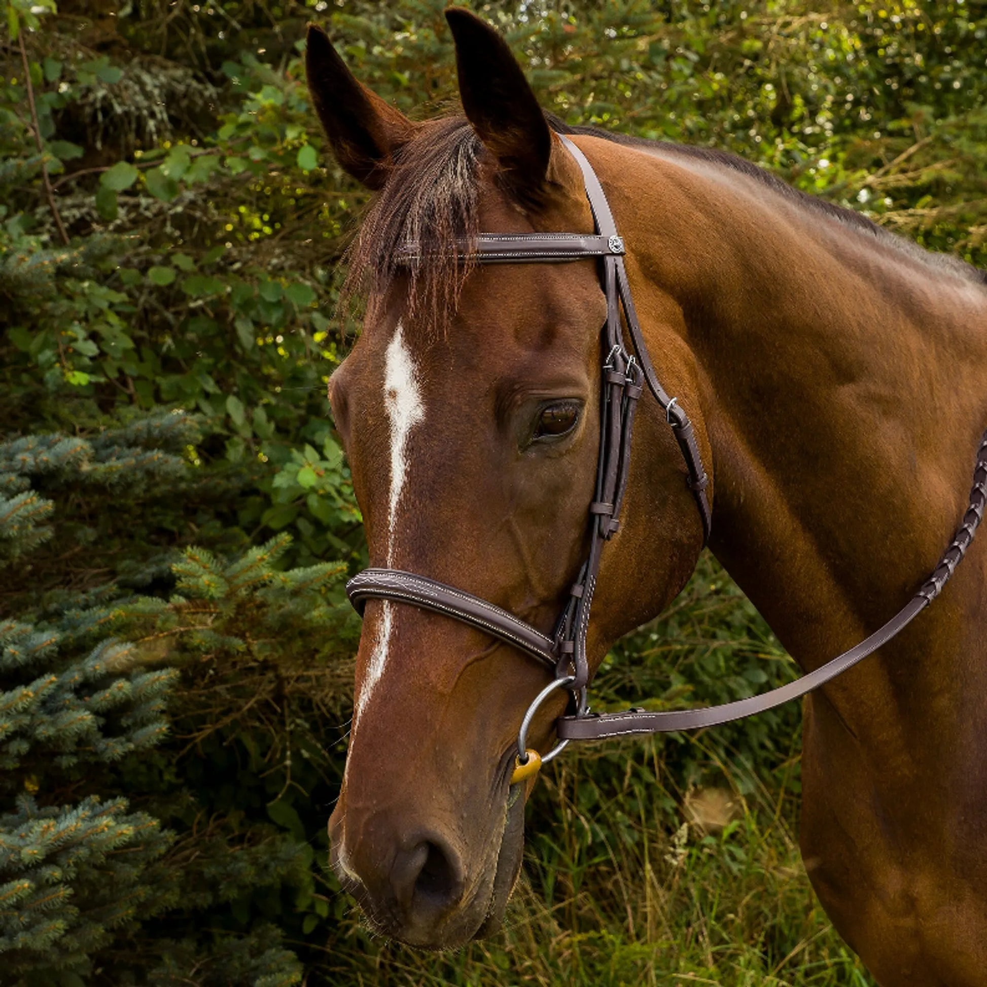 Henri de Rivel Advantage Fancy Raised Padded Bridle With Laced Reins - One Eyed Pony