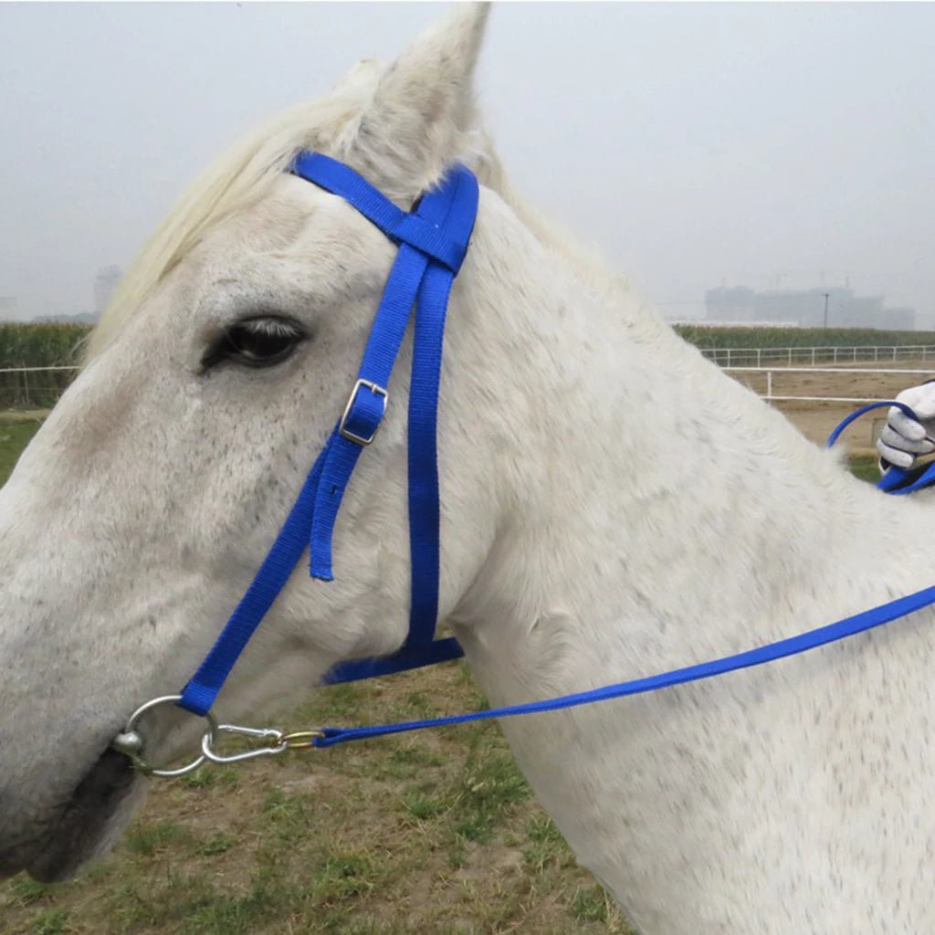 Durable Horse Bridle Horse Rein Headstall Thickened Halter Equestrian Gear Horse Rein Harness Headstalls Removable Snaffle