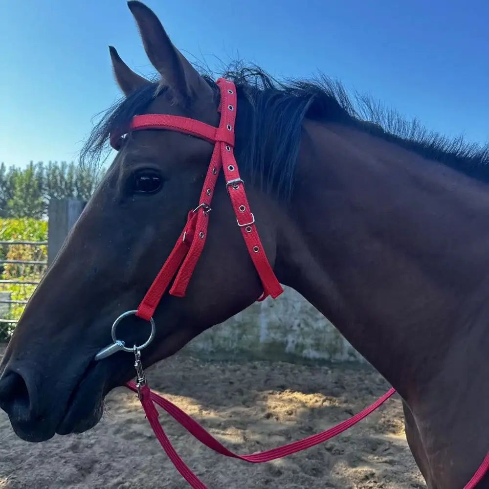 Thickened Horse Halters Comfortable Adjustable Strap Horse Neck Stretcher Durable Heavy Duty Horse Bridle Headband