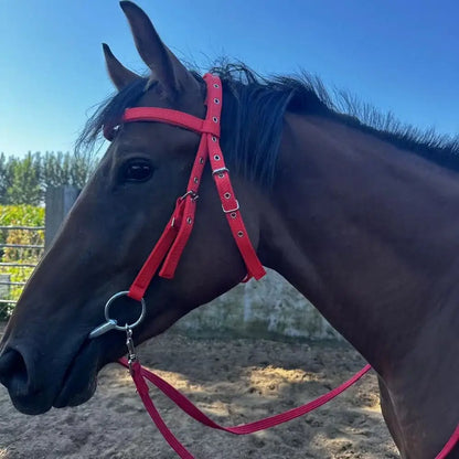 Thickened Horse Halters Comfortable Adjustable Strap Horse Neck Stretcher Durable Heavy Duty Horse Bridle Headband