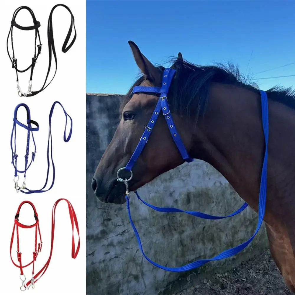 Thickened Horse Halters Comfortable Adjustable Strap Horse Neck Stretcher Durable Heavy Duty Horse Bridle Headband