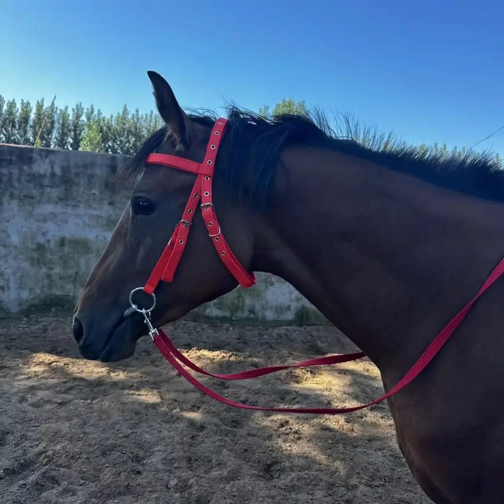 Thickened Horse Halters Comfortable Adjustable Strap Horse Neck Stretcher Durable Heavy Duty Horse Bridle Headband