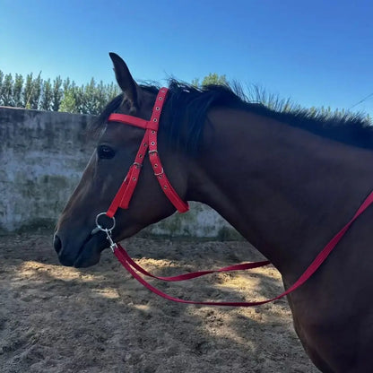 Thickened Horse Halters Comfortable Adjustable Strap Horse Neck Stretcher Durable Heavy Duty Horse Bridle Headband